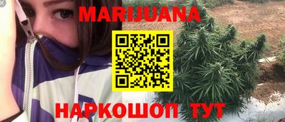крисы Будённовск