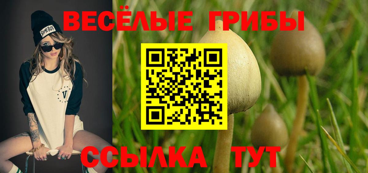 Нарткала  Галлюциногенные грибы мицелий  Вход с VPN 