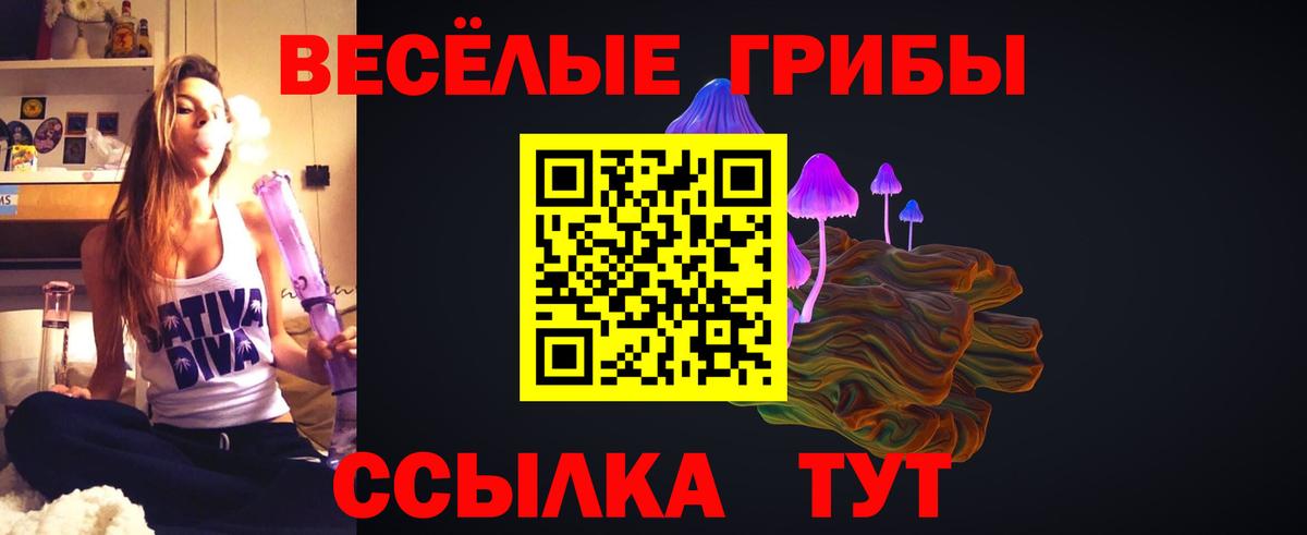 Галлюциногенные грибы мицелий Нарткала